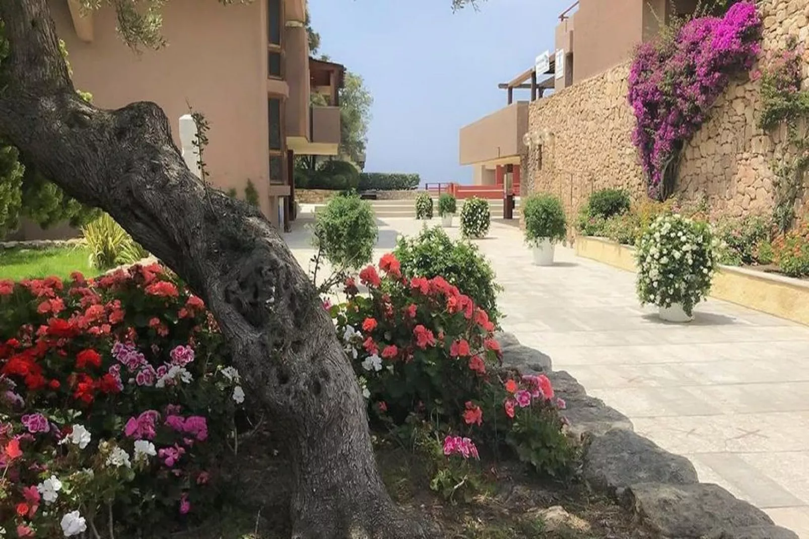 Cugnana Verde Trilo 6-Gardens summer