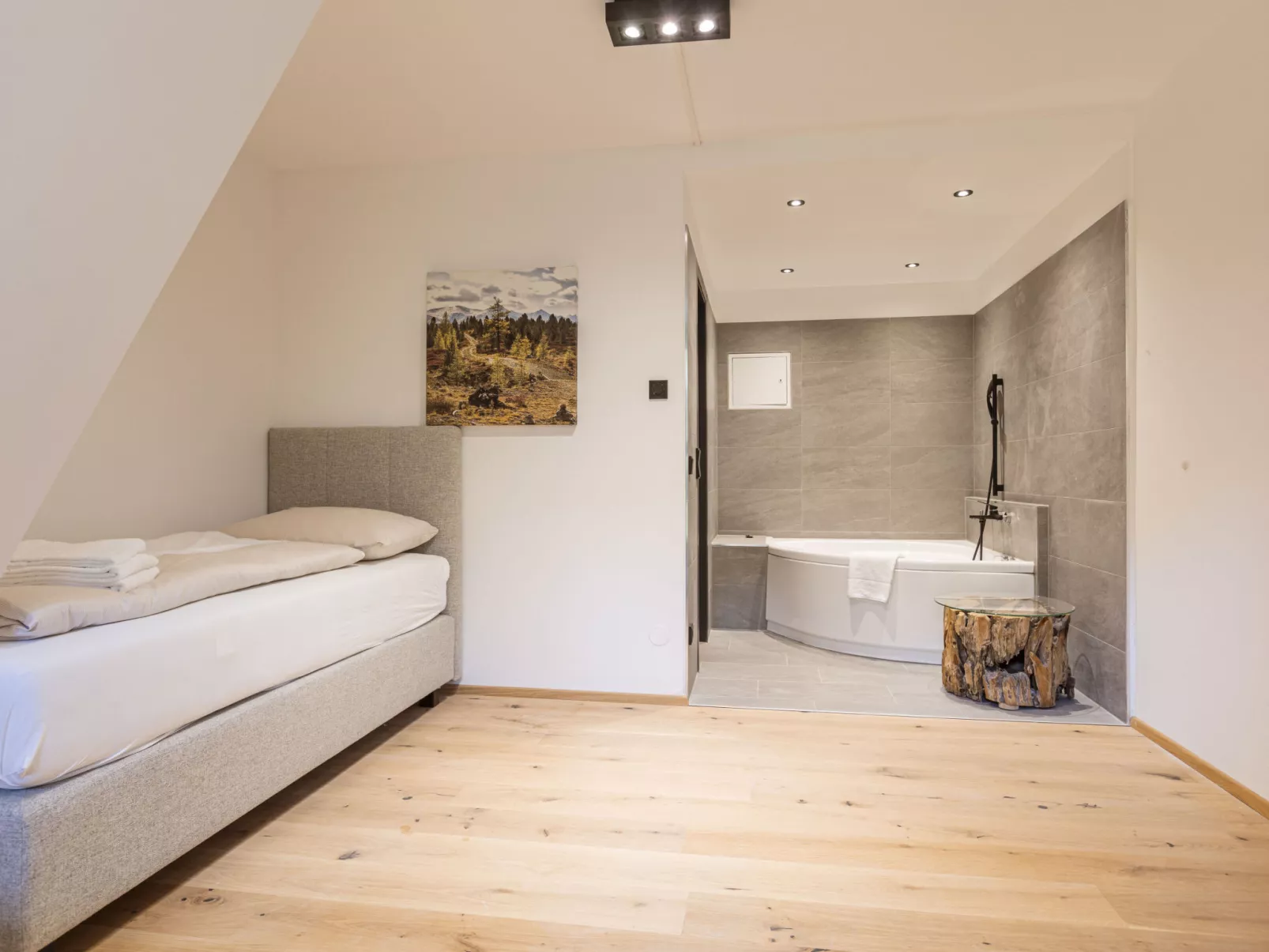 Suite 2 SZ IR-Sauna&Wellnessbereich-Dedans