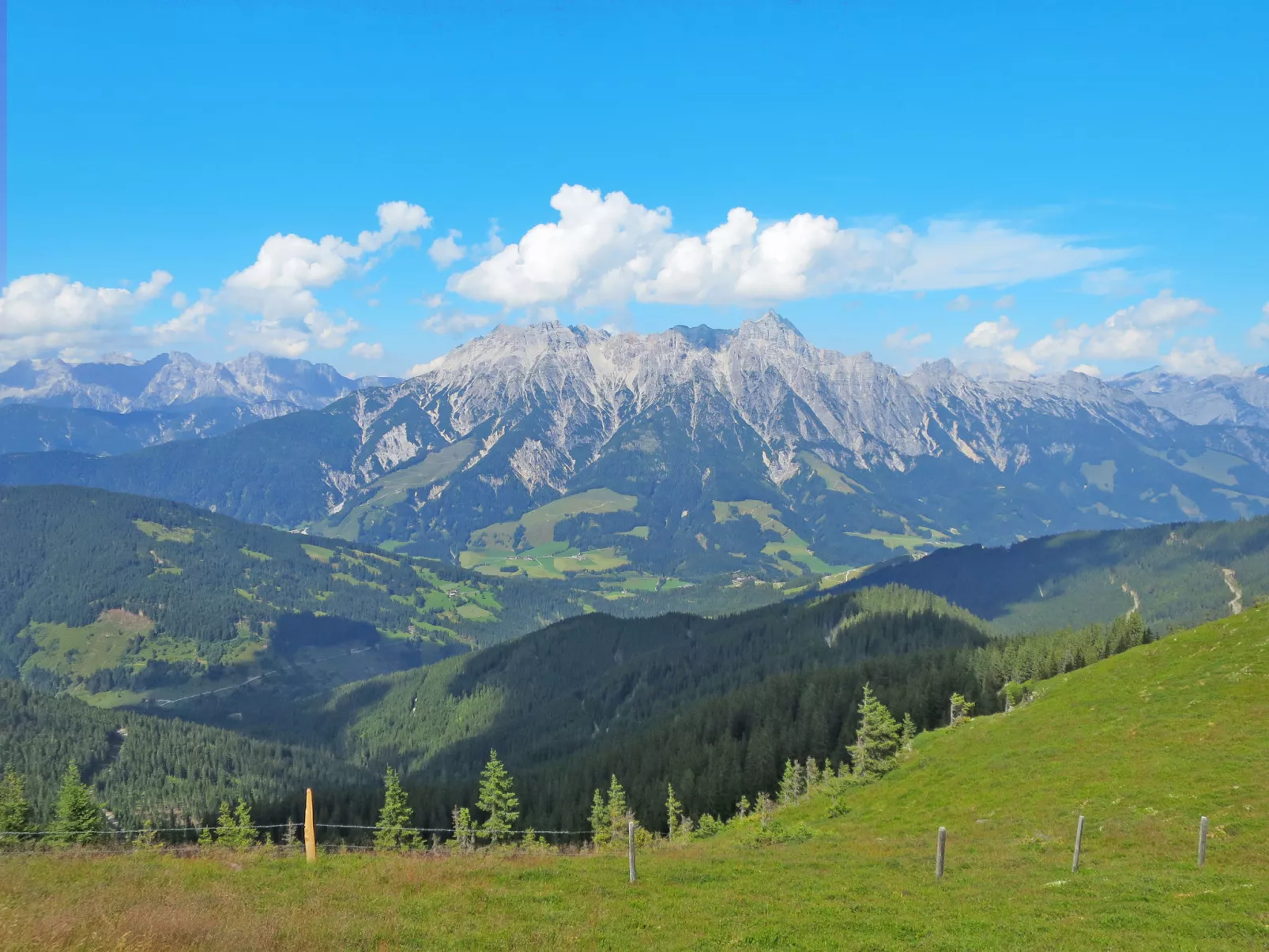 Suite bis zu 4 P. & Wellnessbereich-Area