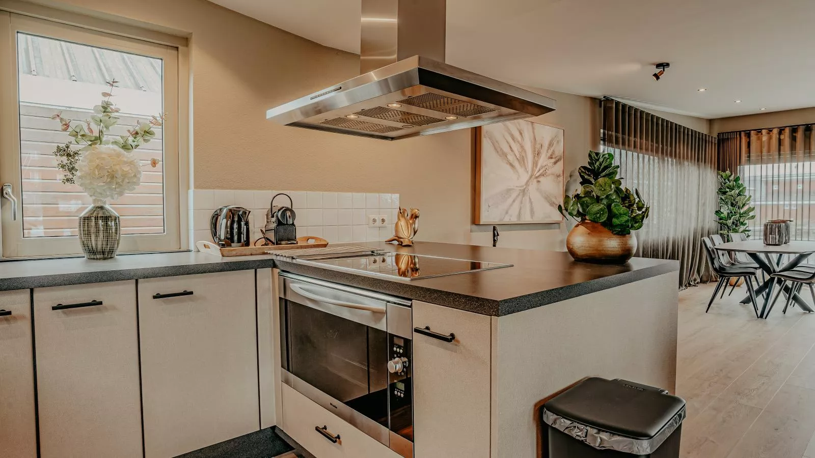 Woonark De Woude-Kitchen