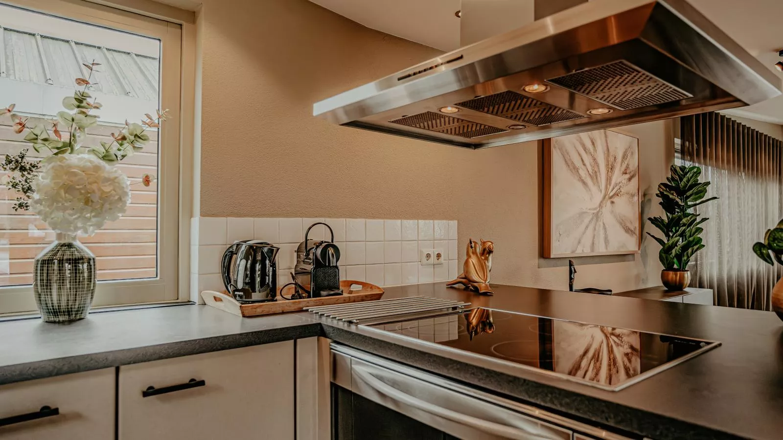 Woonark De Woude-Kitchen