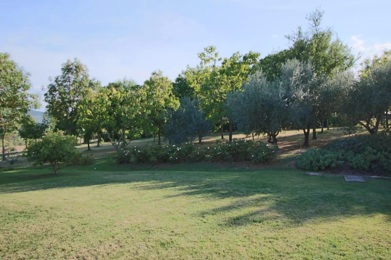 Astri-Gardens summer