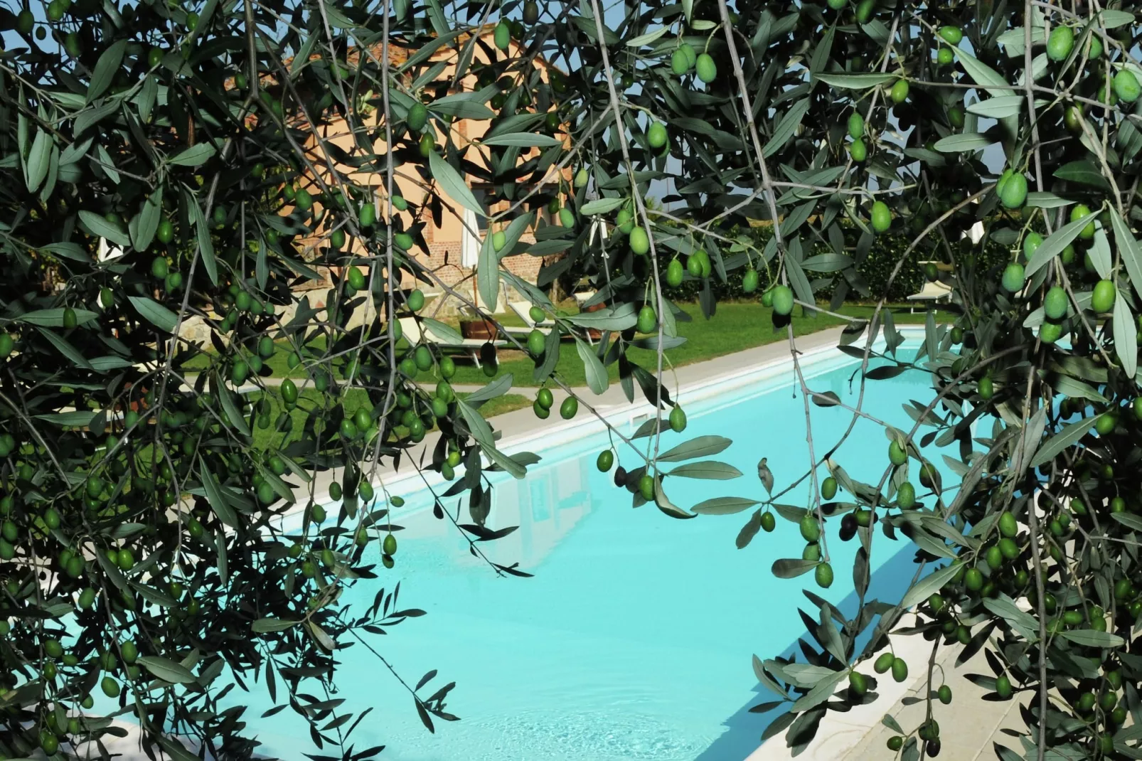 Iris-Pool