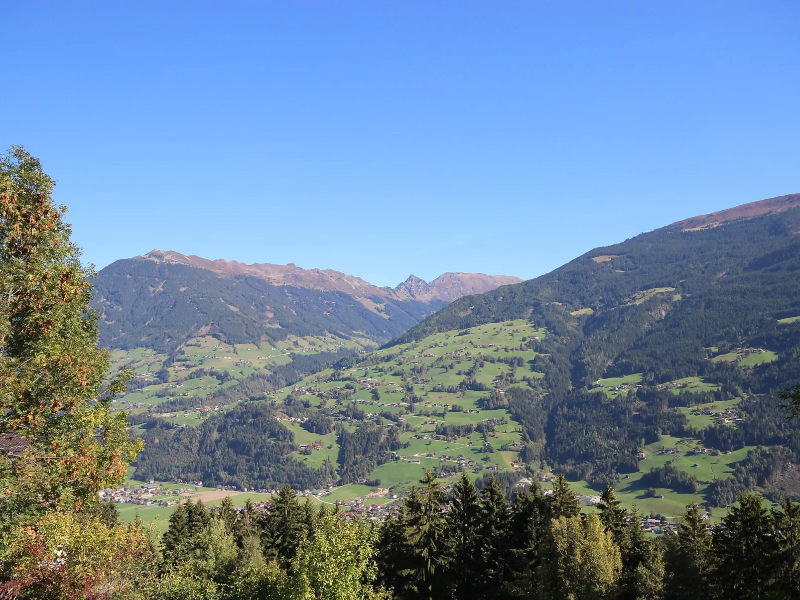 Dornauer-Draußen