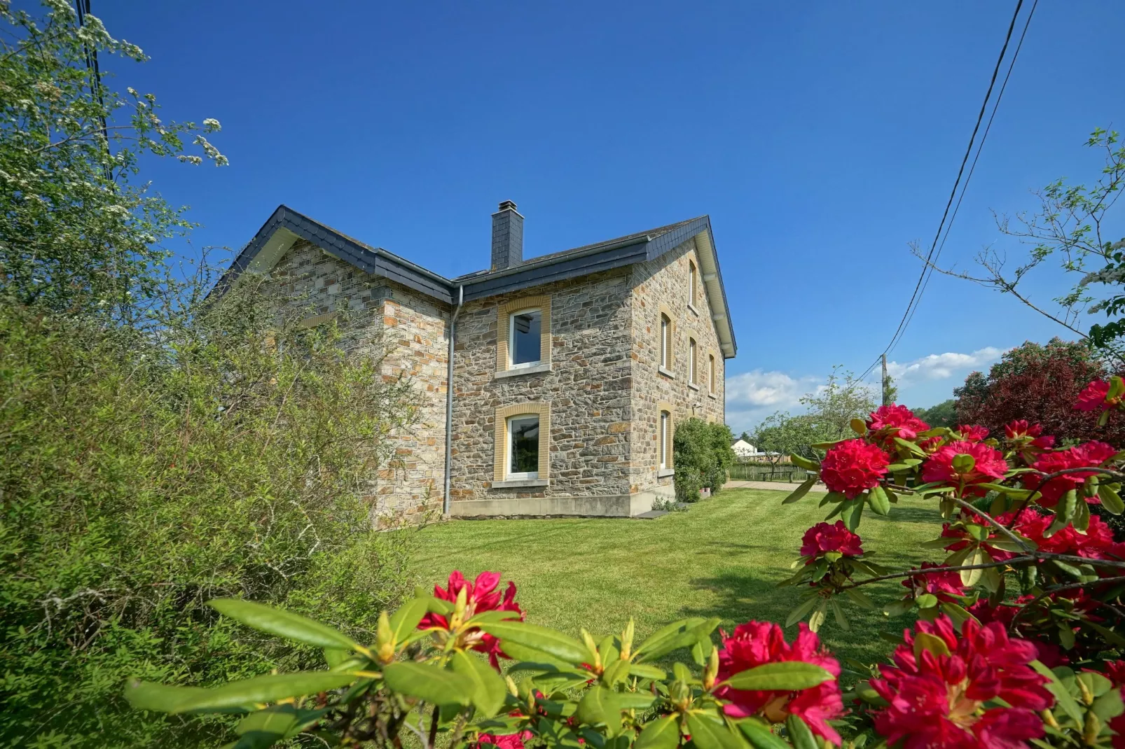 A la lisière de la forêt-Exterior summer