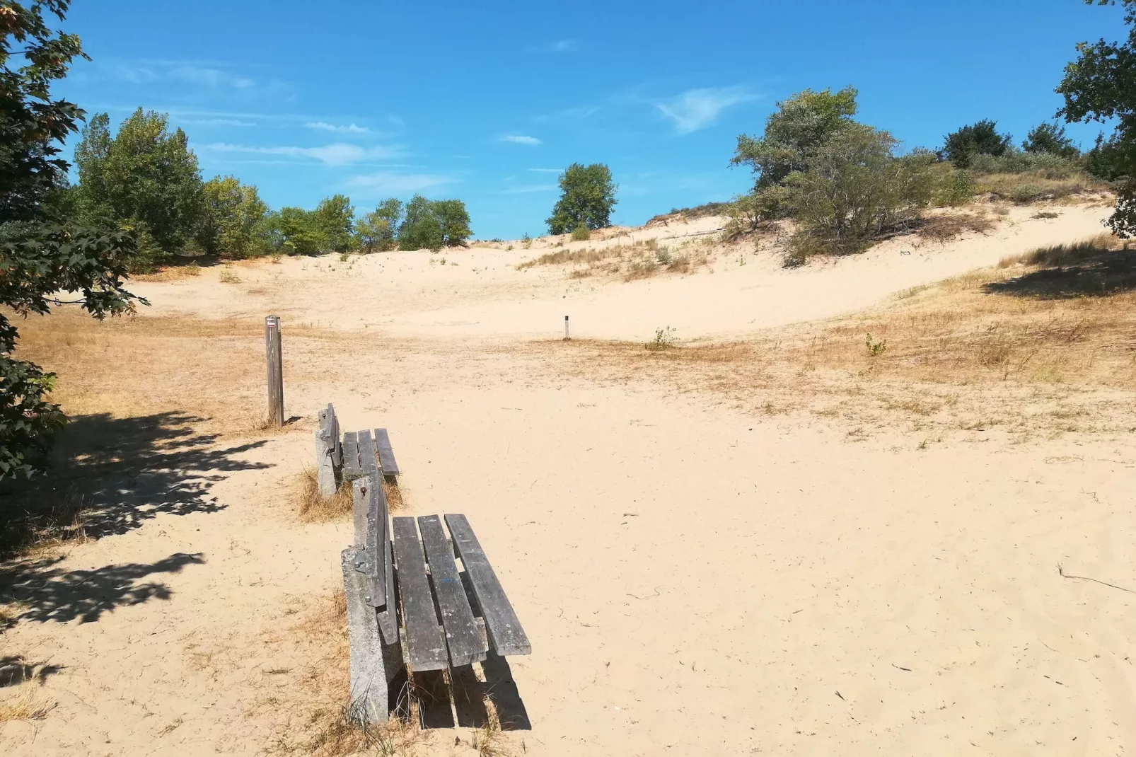 Magellan 701-Areas summer 5km