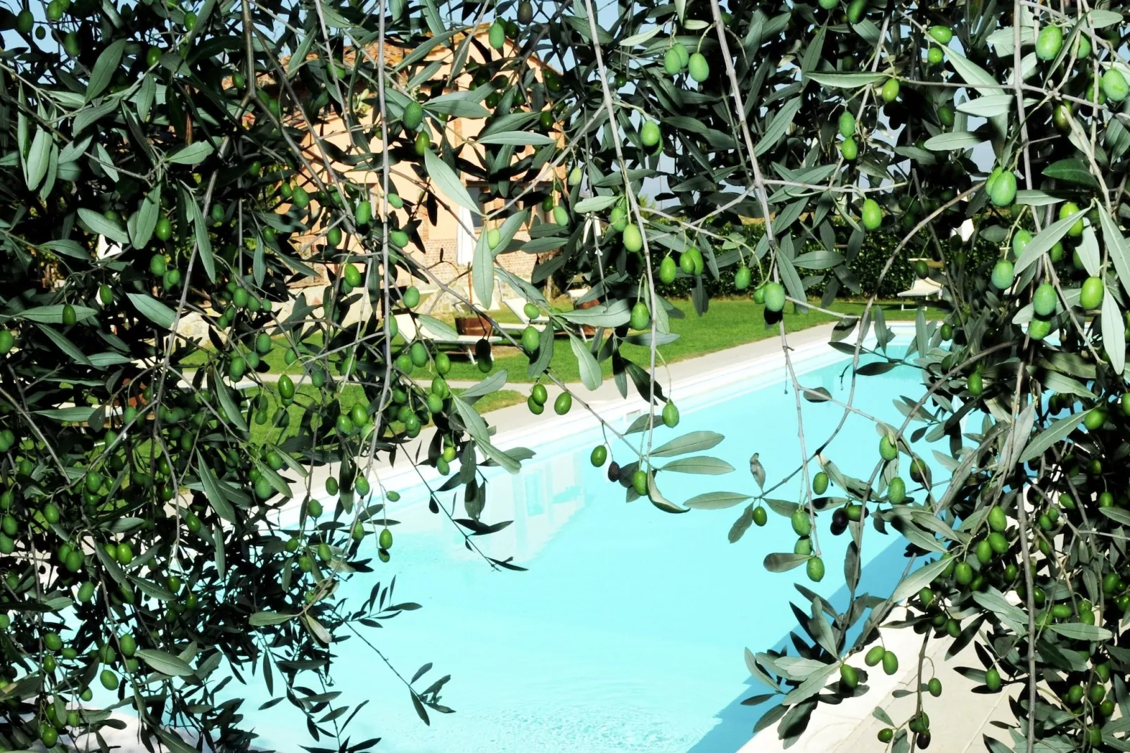 Iris-Pool