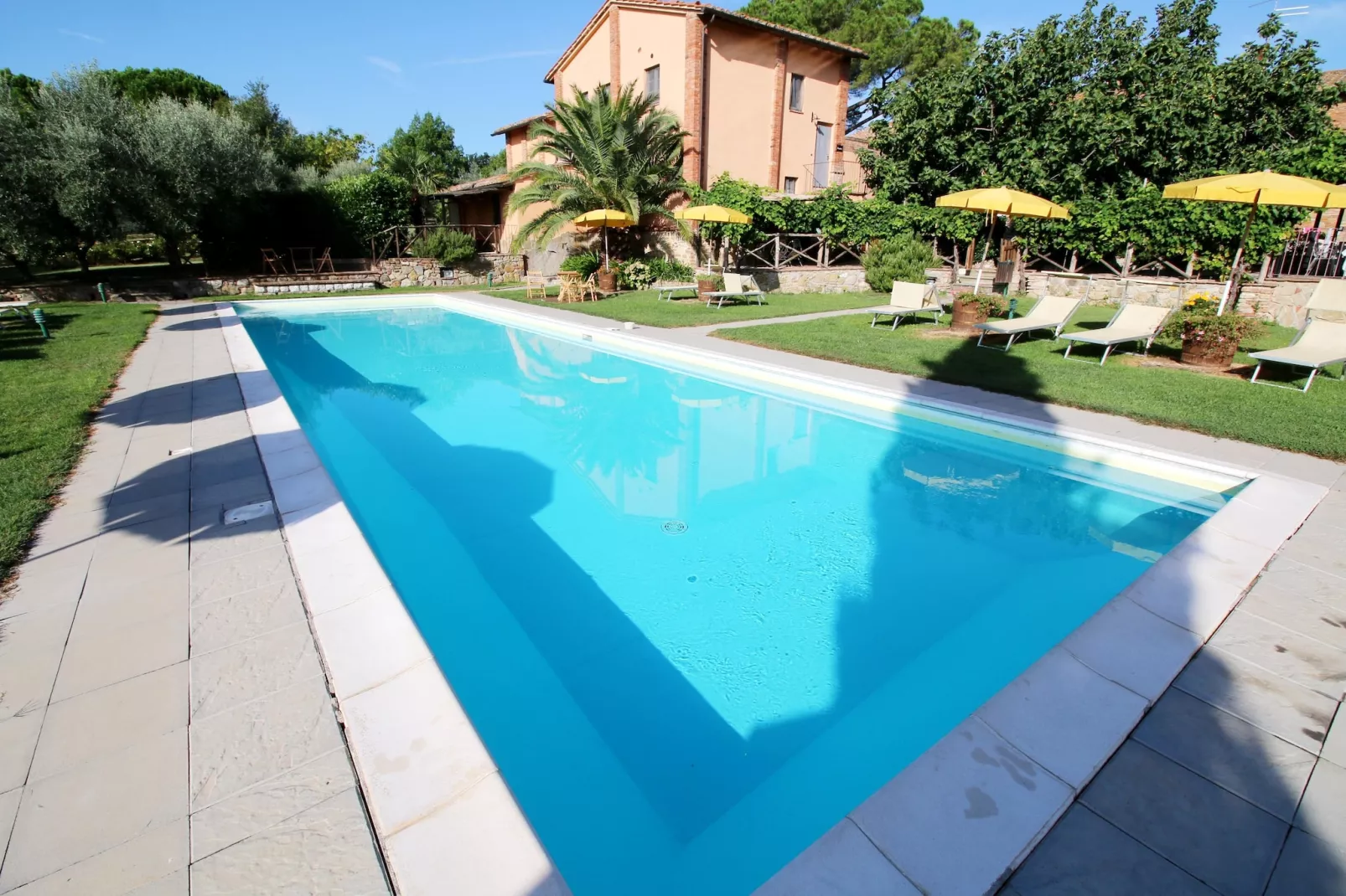Iris-Pool