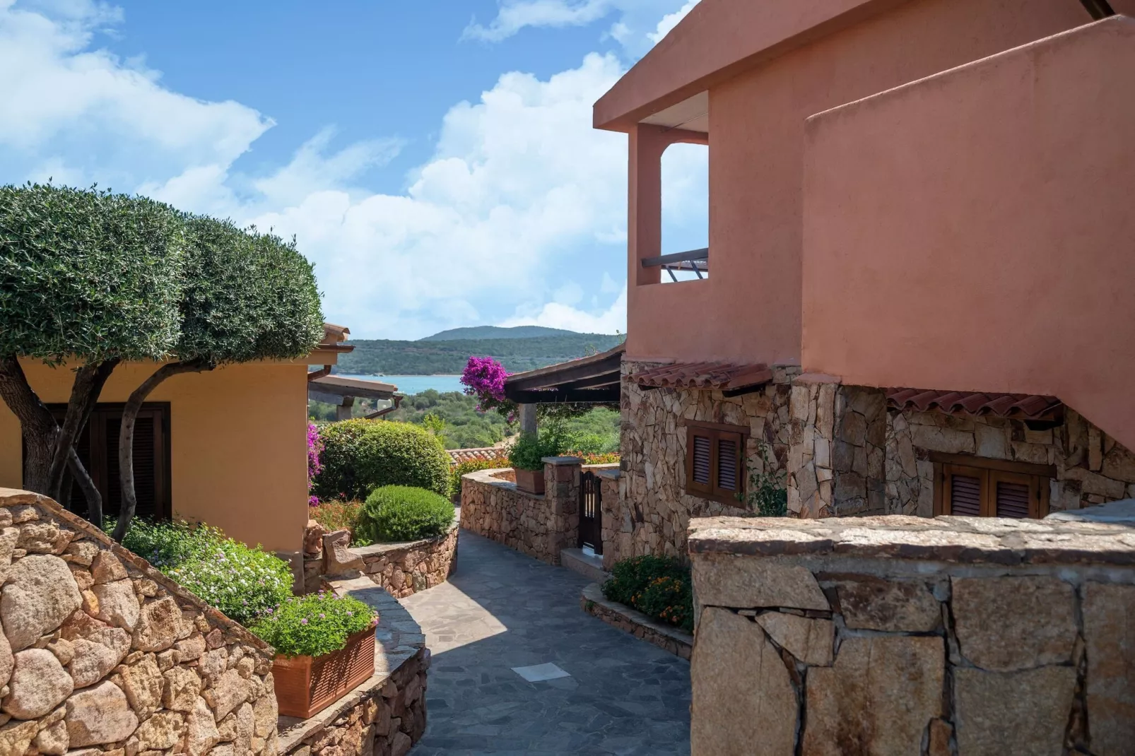 Trilo 5/6 Pax-Exterior summer