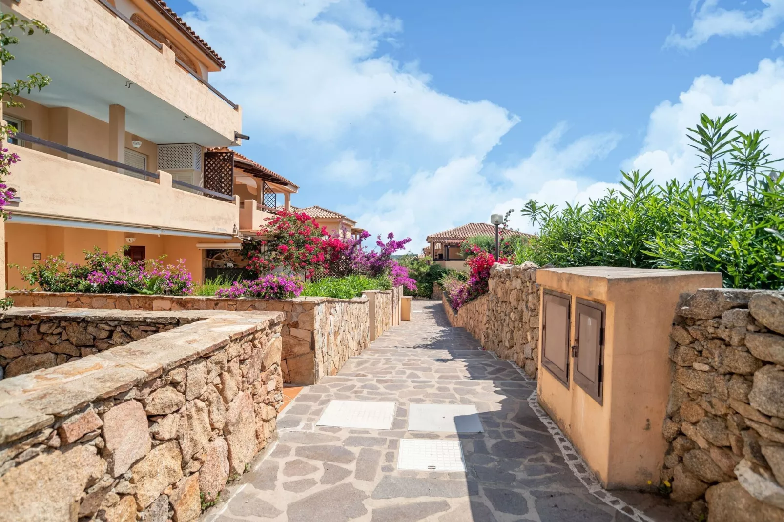 Trilo 5/6 Pax-Exterior summer
