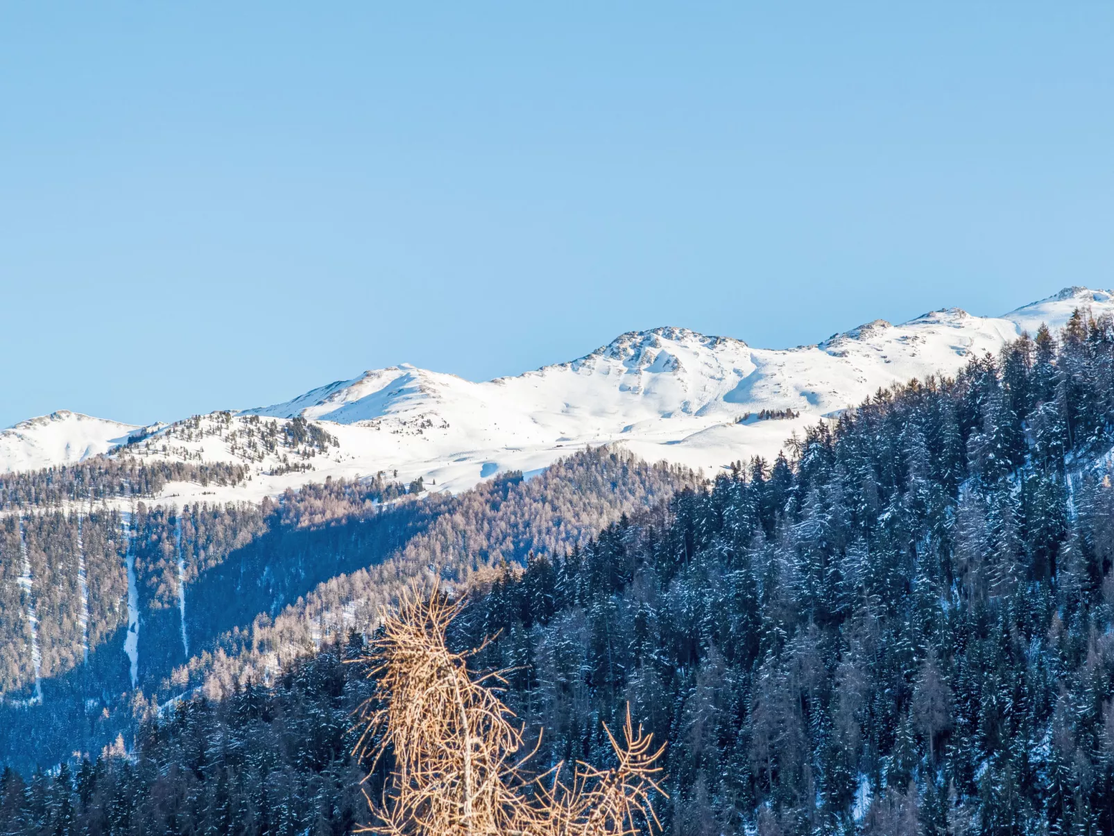 Aiglon E2-Outside