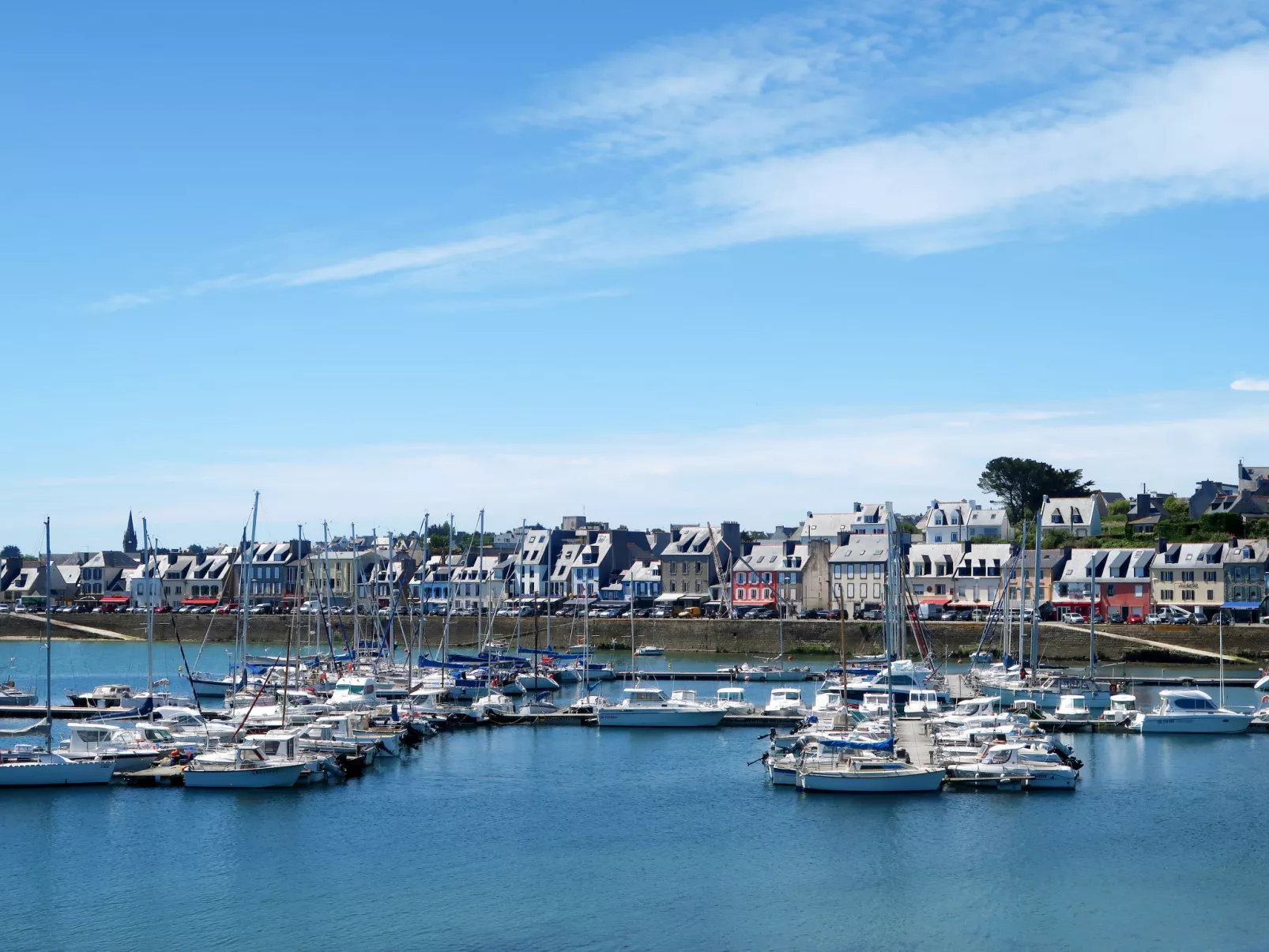 Le Vieux Chêne-Area