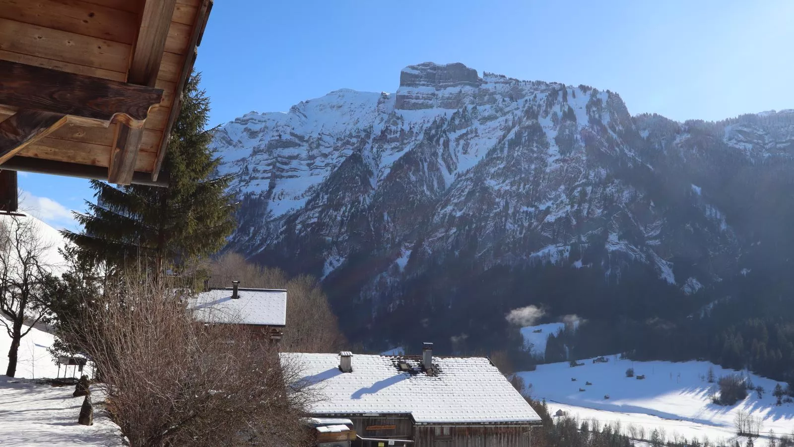Schwarzmann-View winter