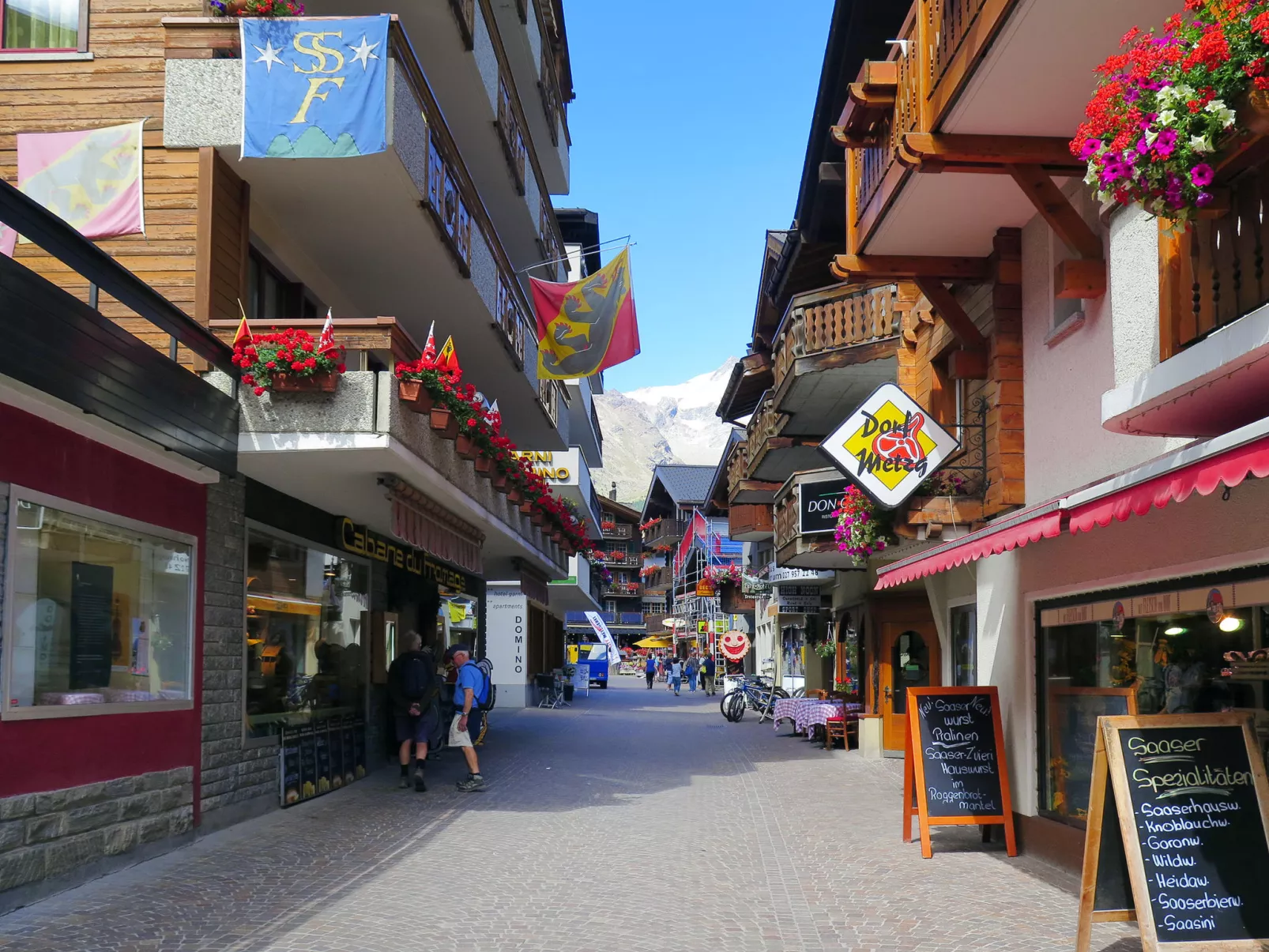 Bergfink-Area