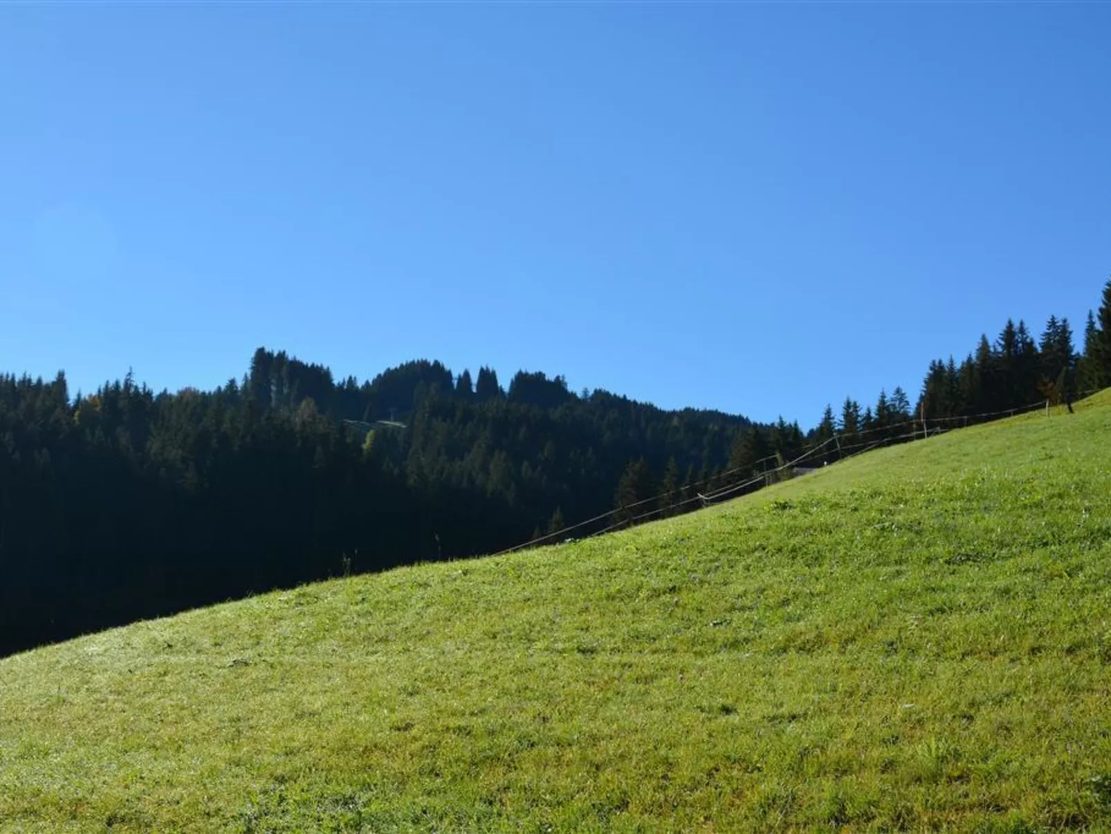 Hornflue (Wohlwender)-Outside