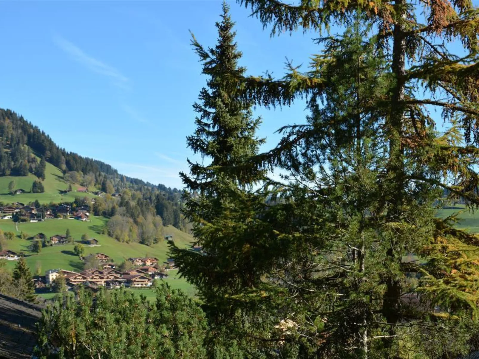 Hornflue (Wohlwender)-Outside