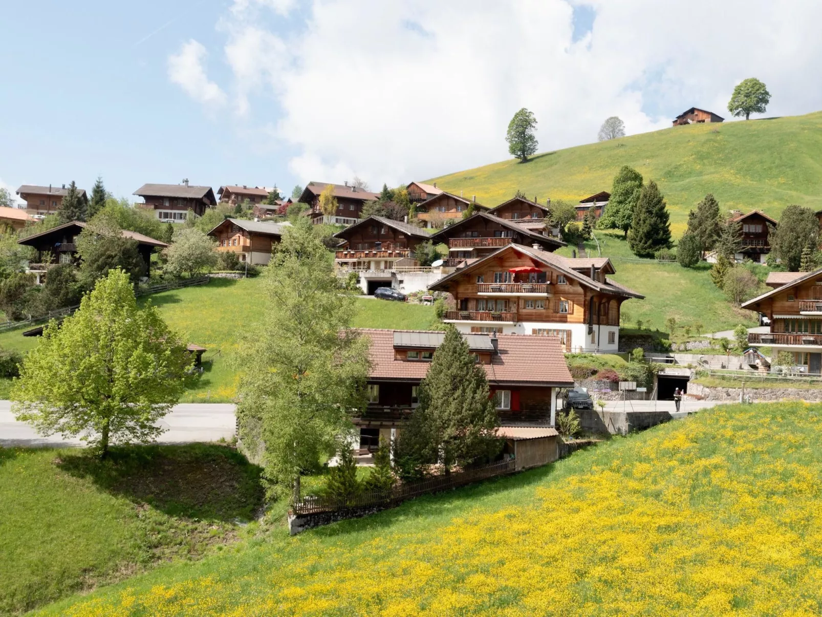 Serviced Apartment Chalet Bärgblüml i Ha-Outside