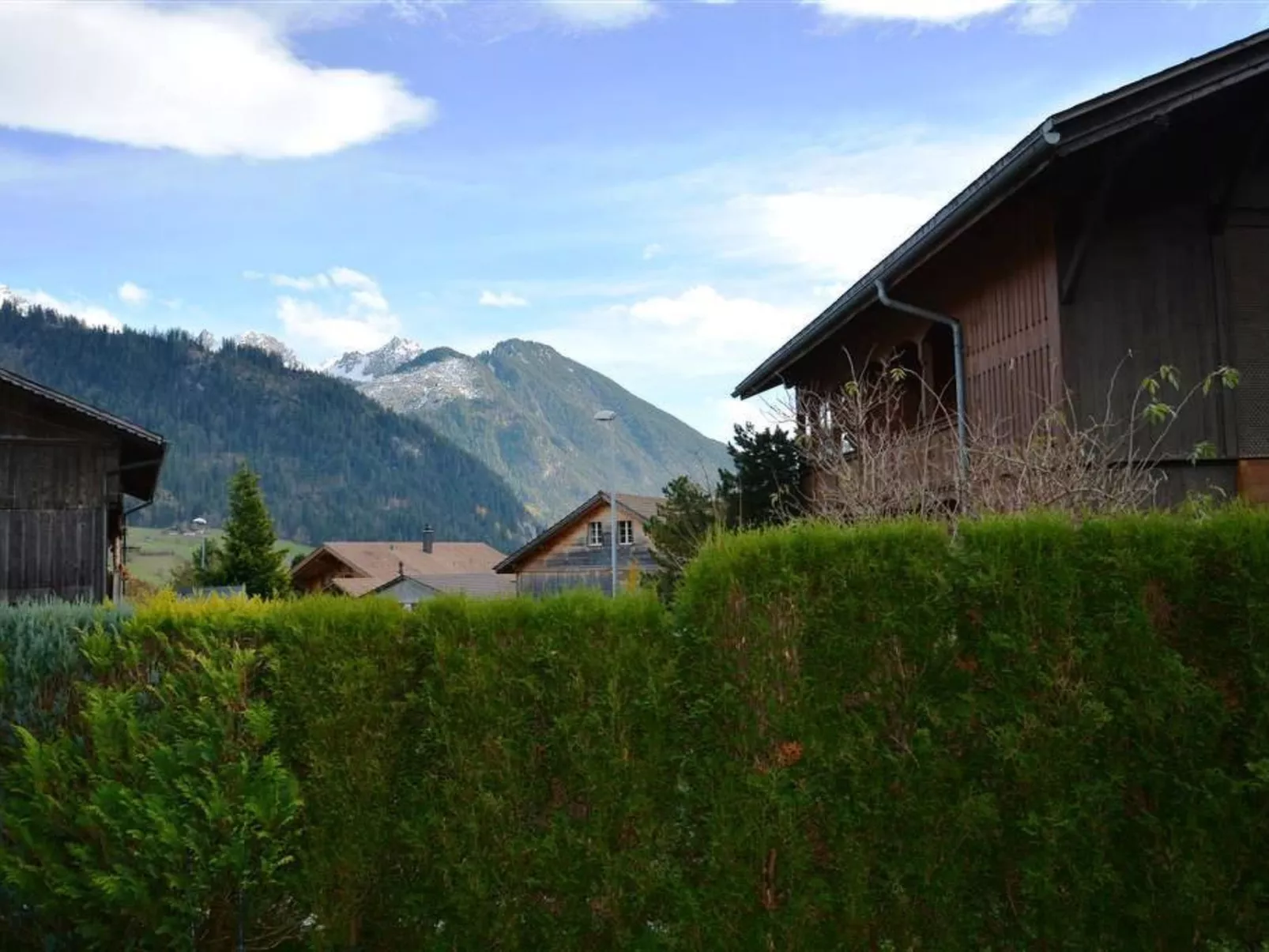 Simmental-Outside