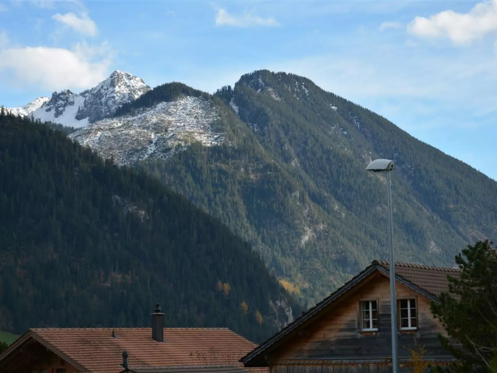 Simmental-Outside