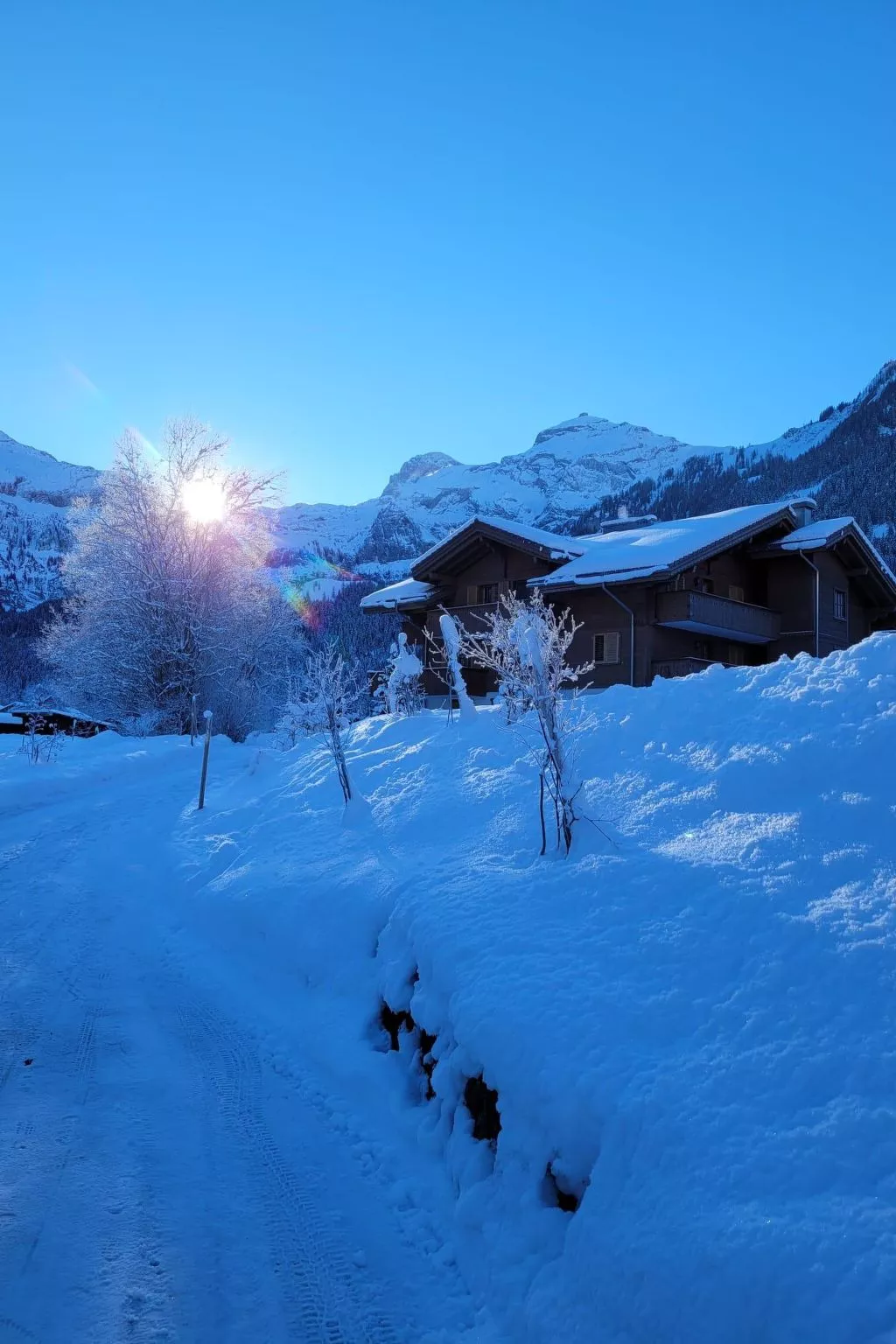 Chalet Lerchweid Lenk-Draußen