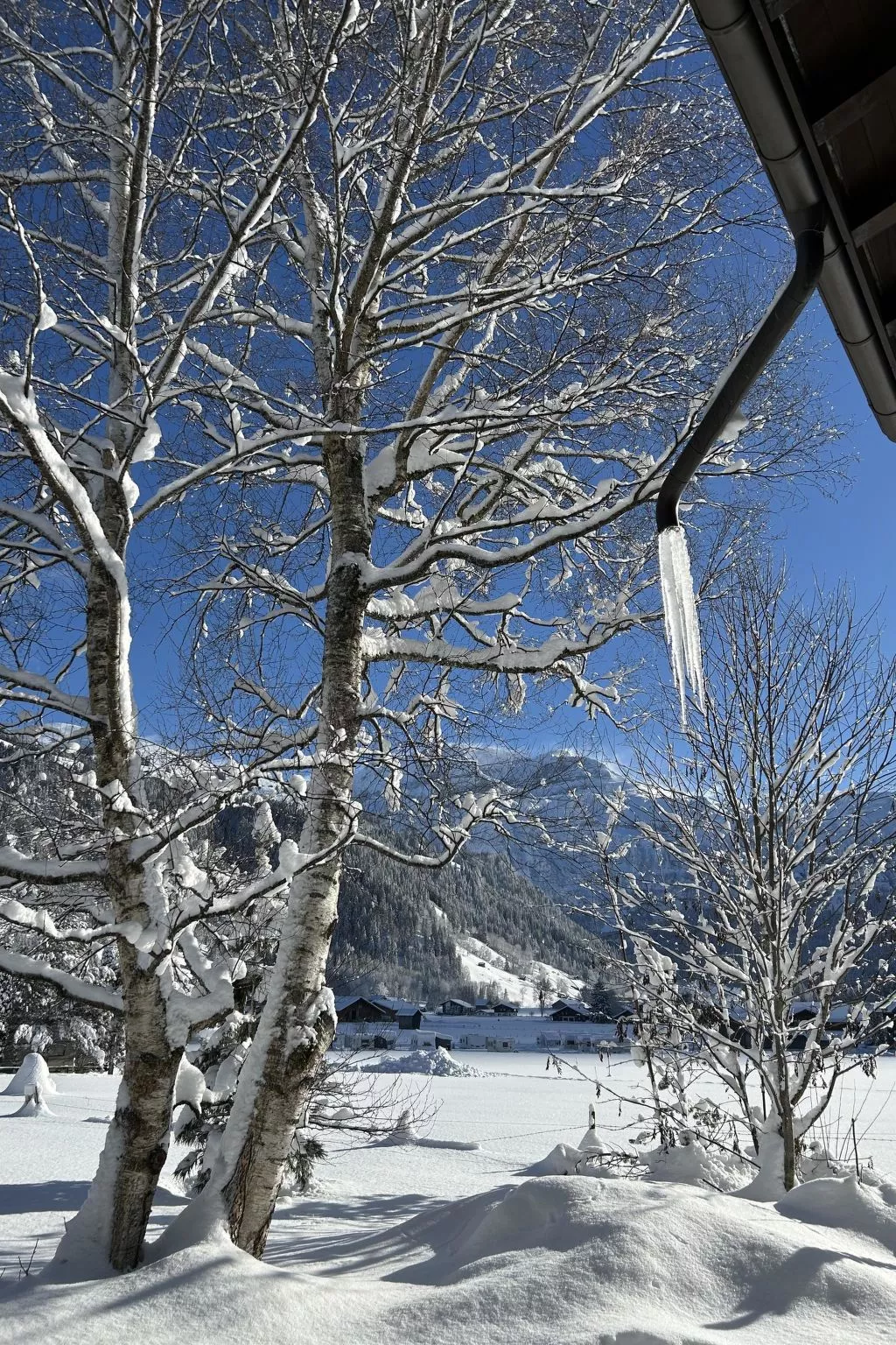 Chalet Claudia-Draußen
