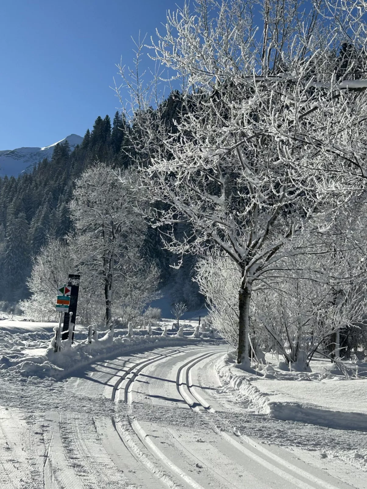 Chalet Claudia-Draußen