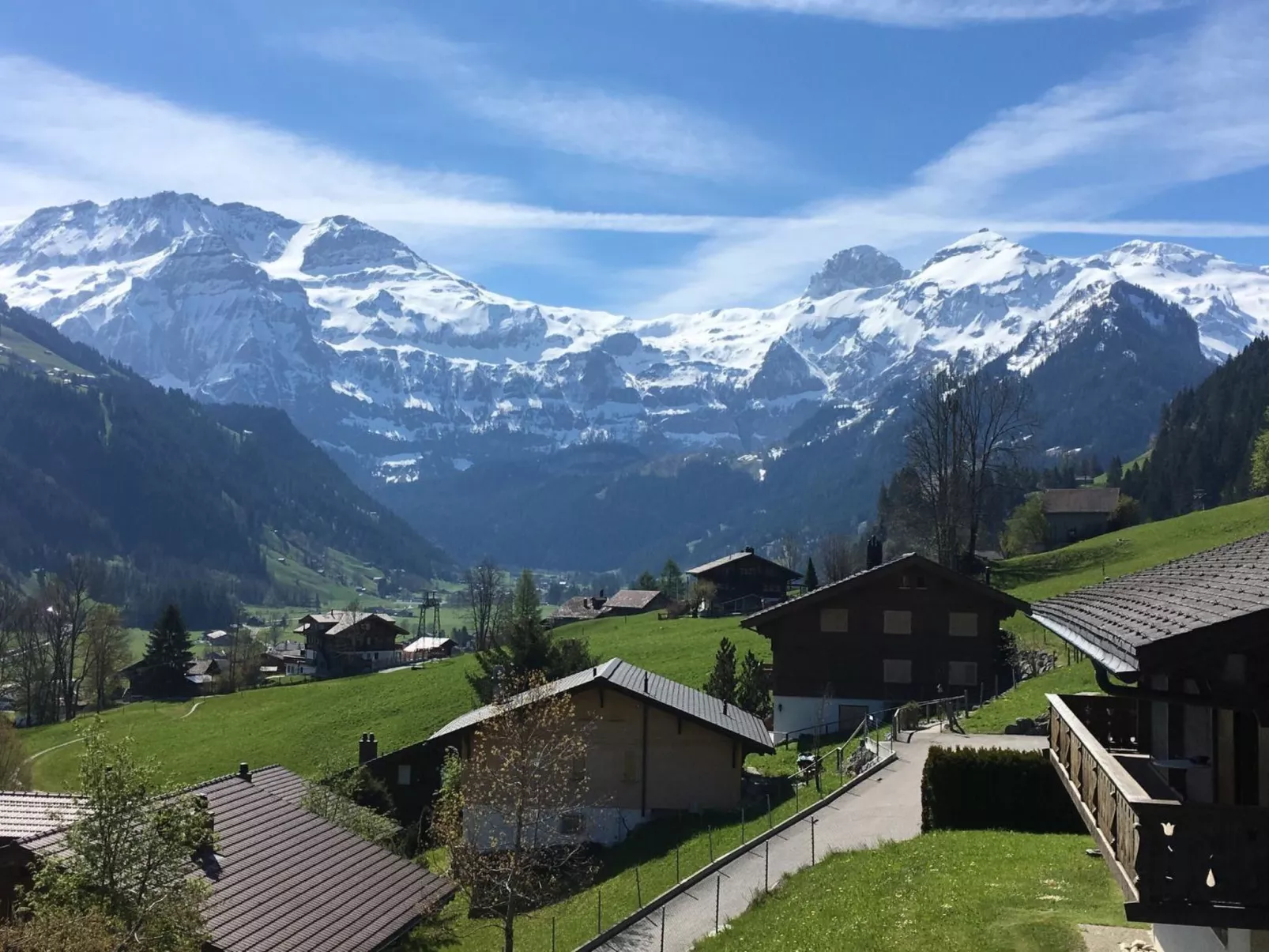 Chalet Waldchutz - Wohnung Anax-Outside