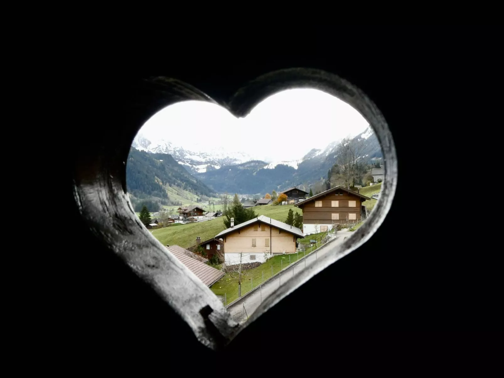 Chalet Waldchutz - Wohnung Anax-Outside