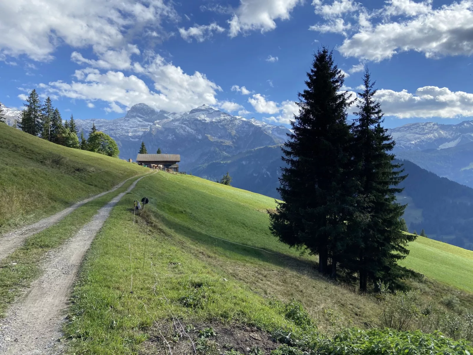 Chalet Weitblick-Outside