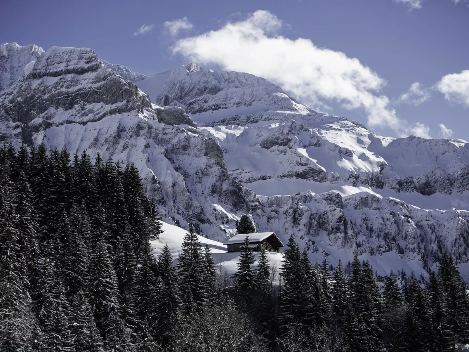 Chalet Weitblick-Outside