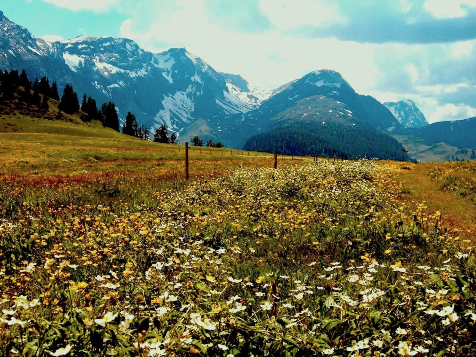 Chalet Weitblick-Outside