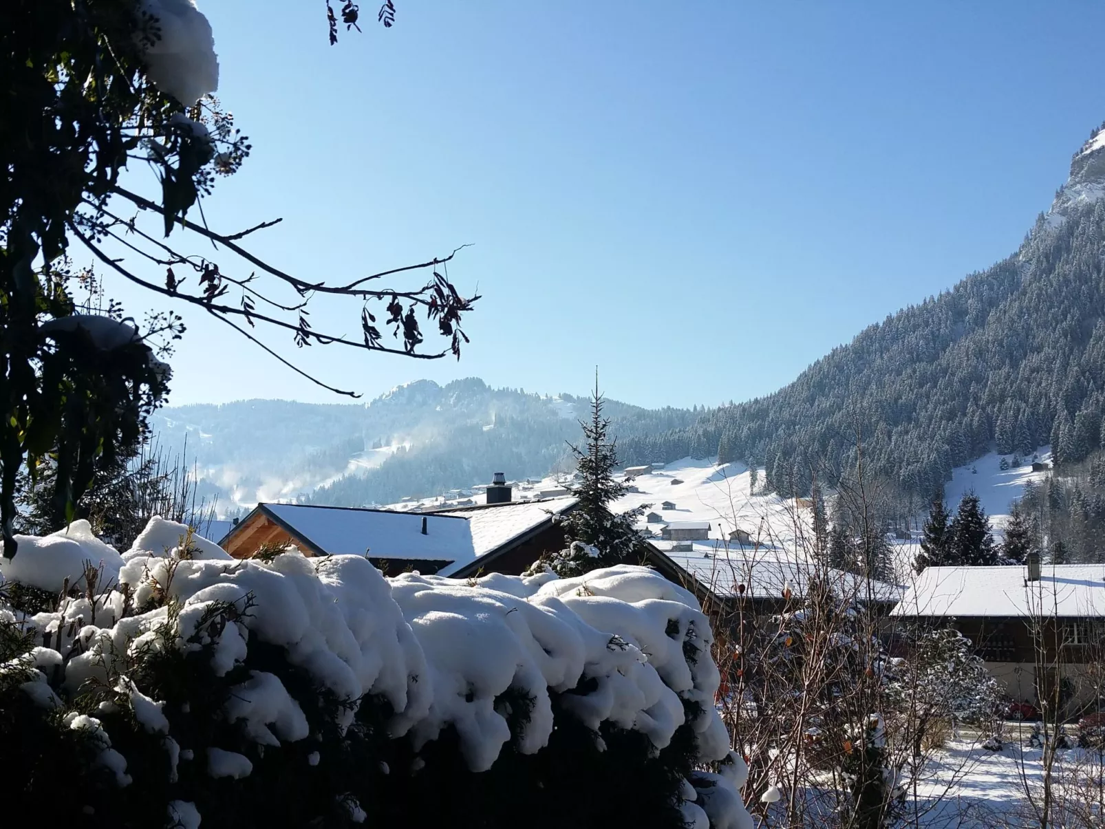 Chalet Flöschhorn-Outside