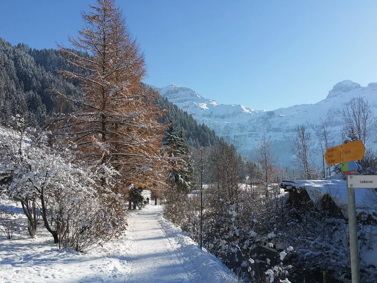 Chalet Flöschhorn-Outside