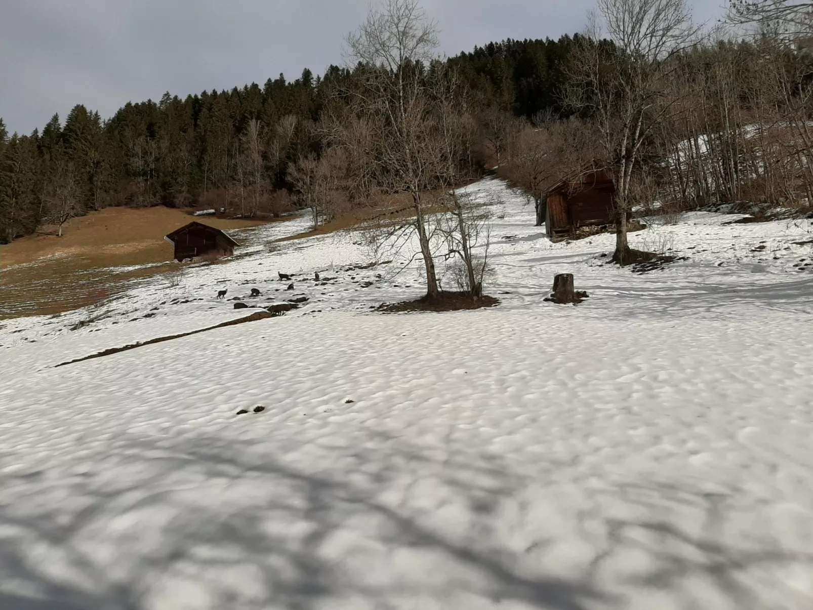 Kari's Schüür-Outside
