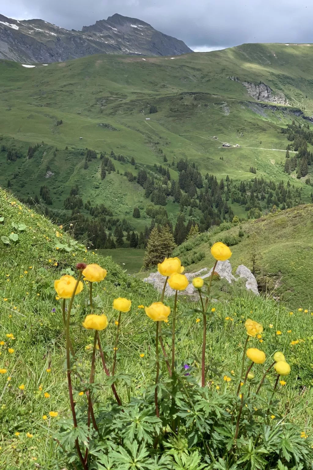 Meieli-Draußen