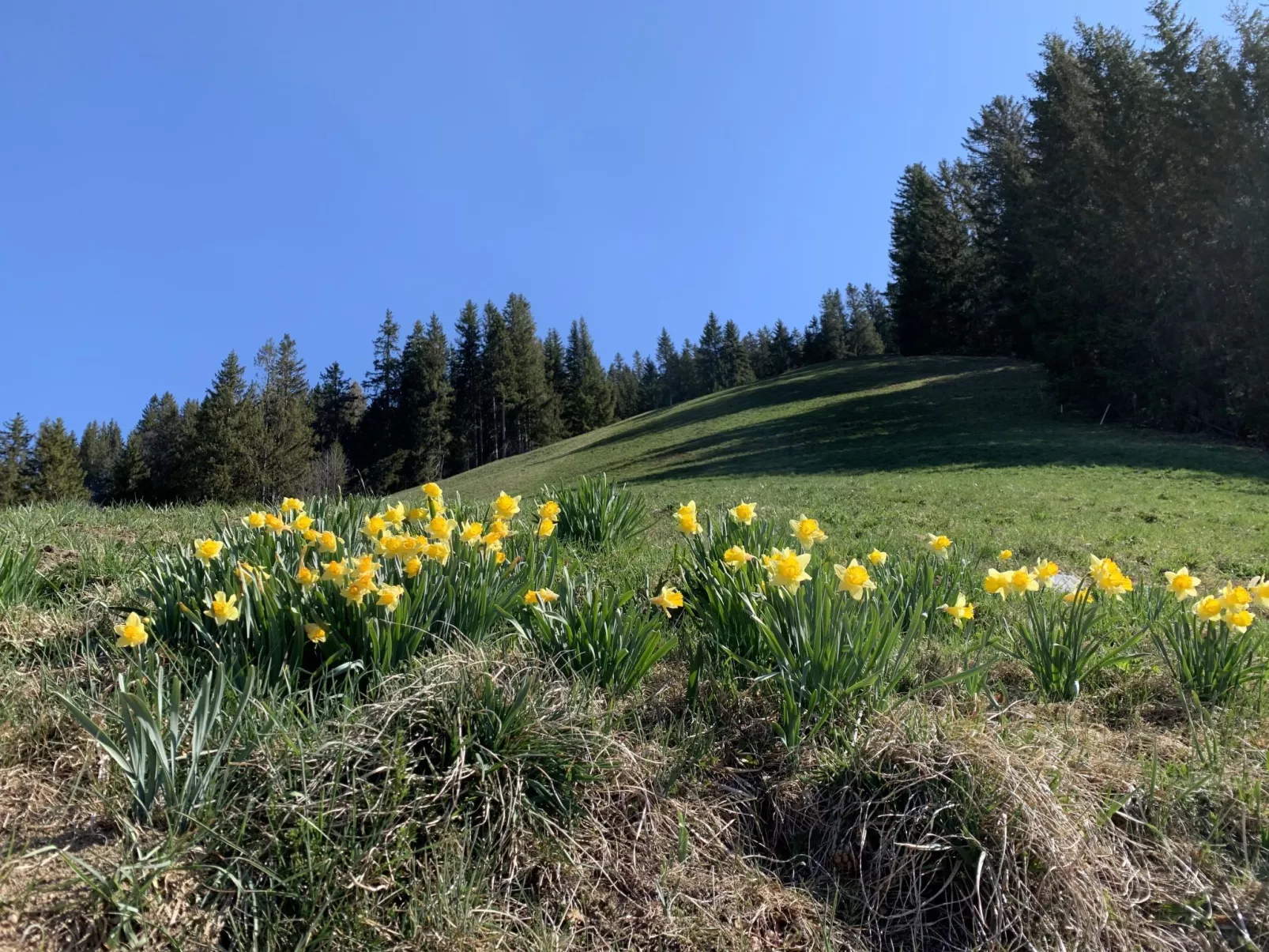 Meieli-Draußen