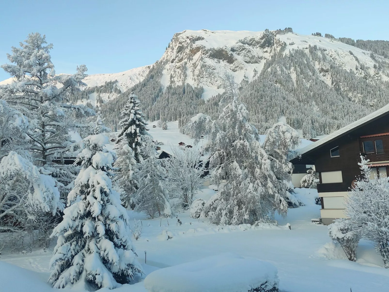 Lenk Unique-Outside