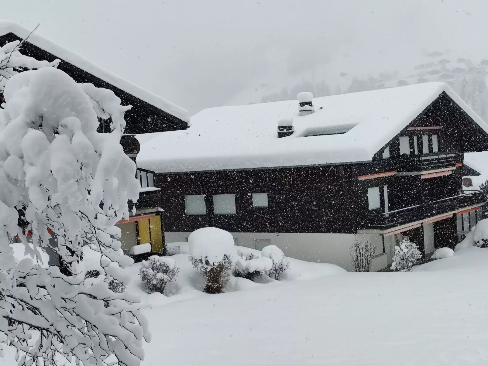 Lenk Unique-Outside