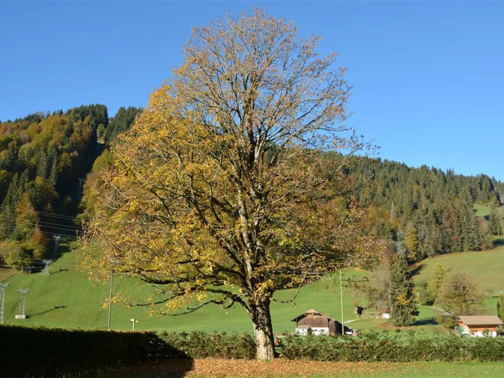 Oberland Nr. 19-Outside
