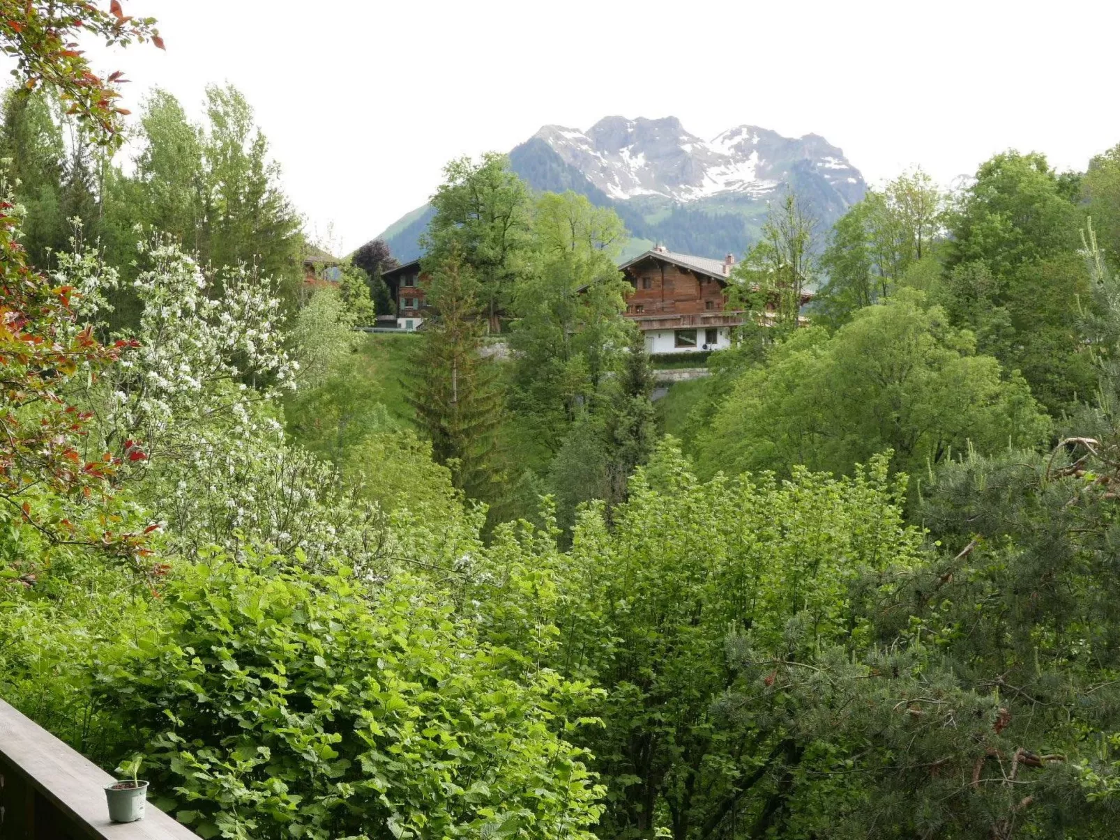 Tree-Tops, Chalet-Outside