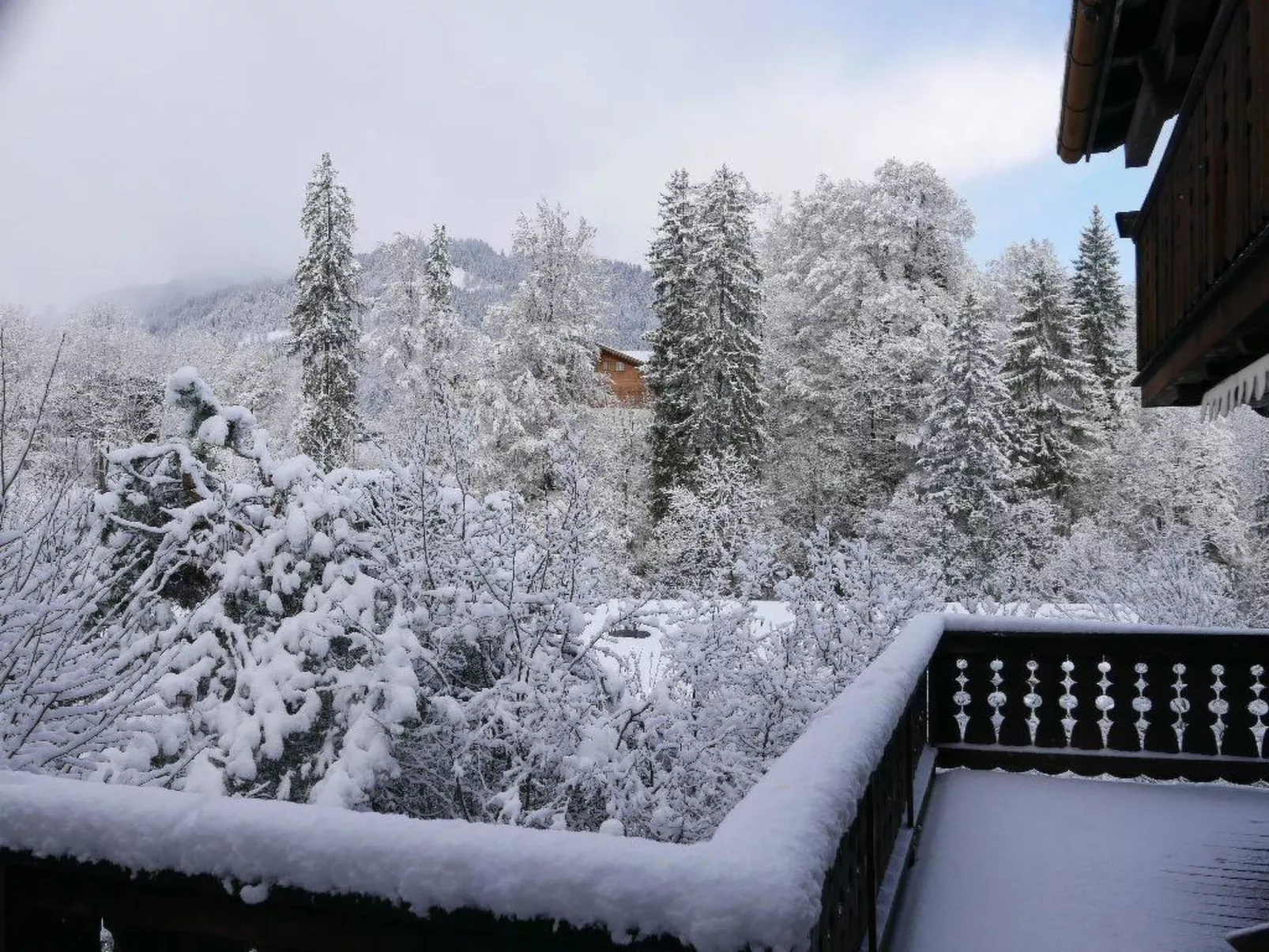 Tree-Tops, Chalet-Outside