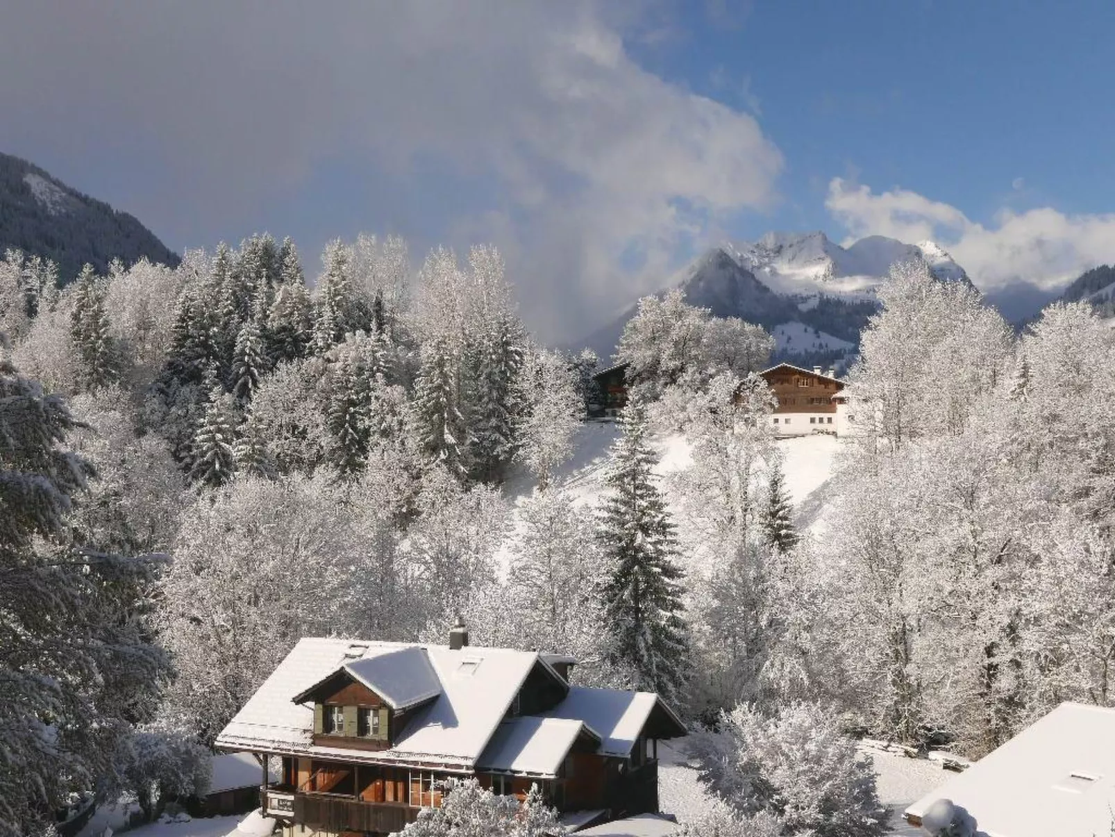 Tree-Tops, Chalet-Outside