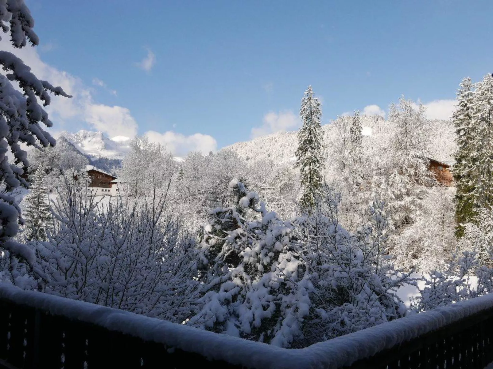 Tree-Tops, Chalet-Inside