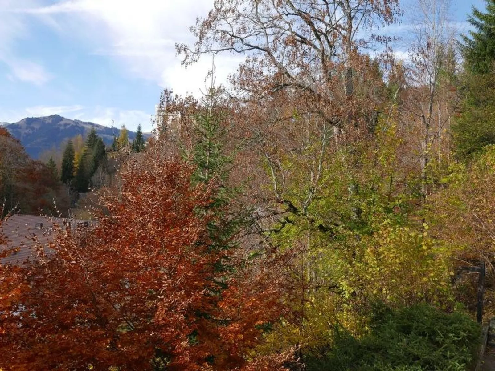 Tree-Tops, Chalet-Outside