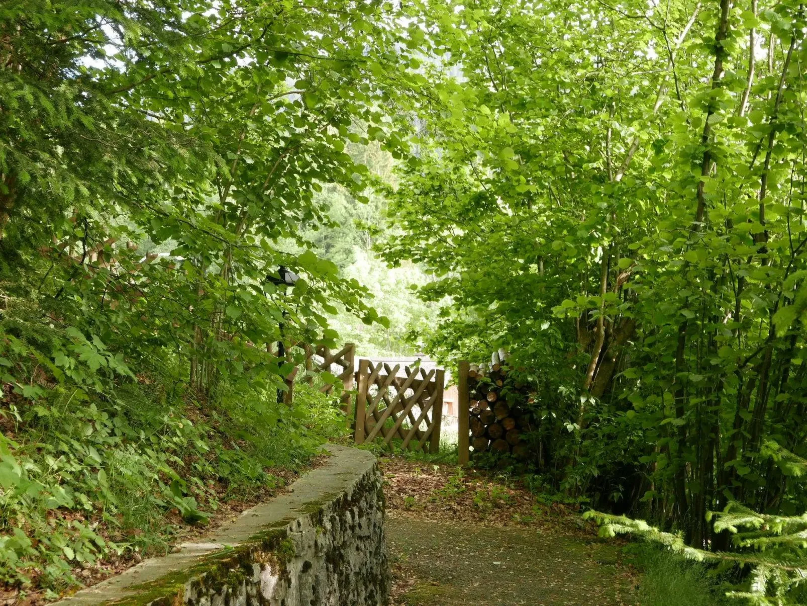 Tree-Tops, Chalet-Outside