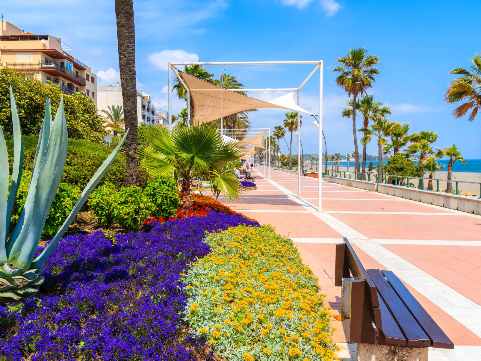Estepona Roof Top View 4-Area