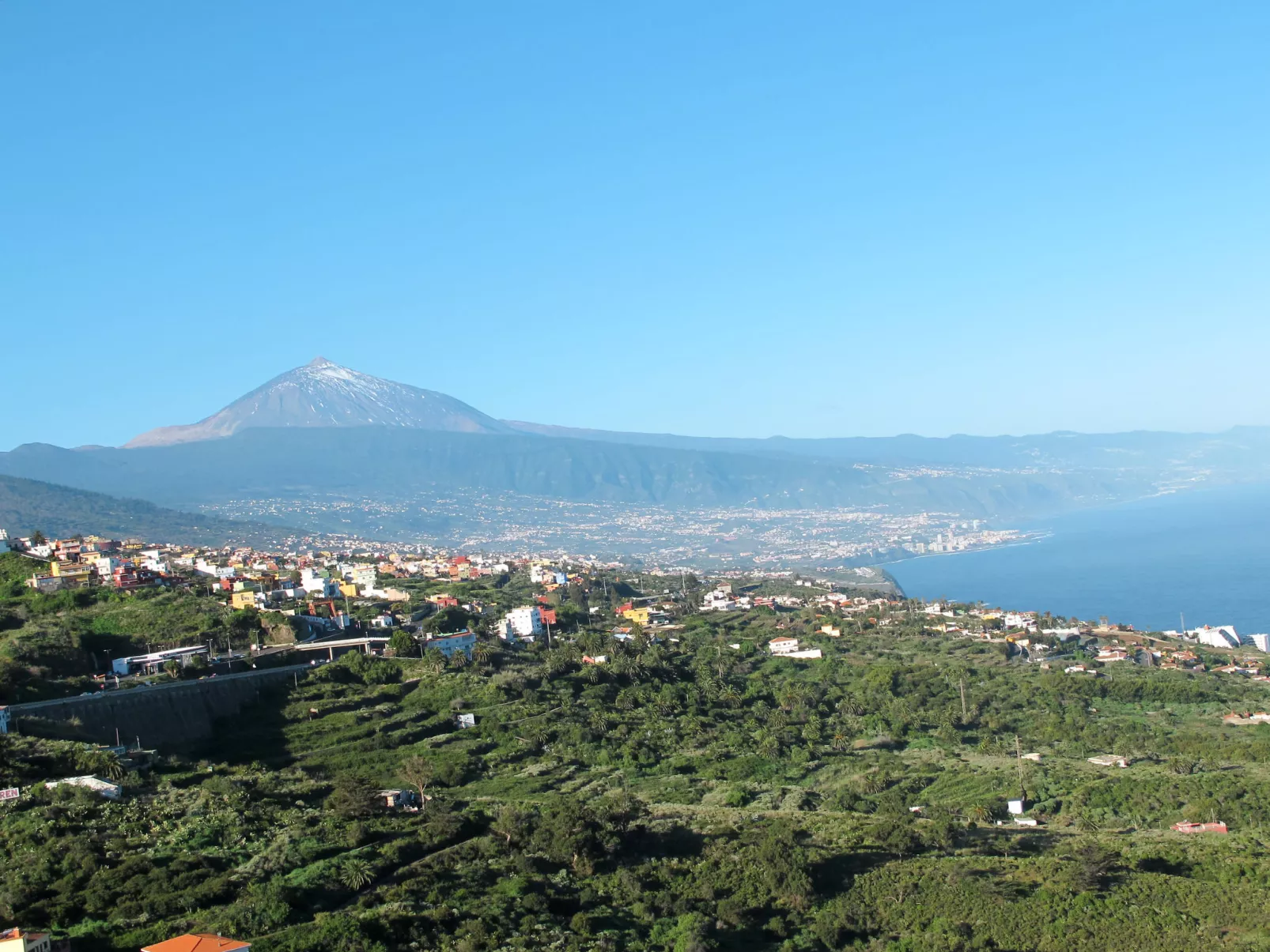 Pepa-Area