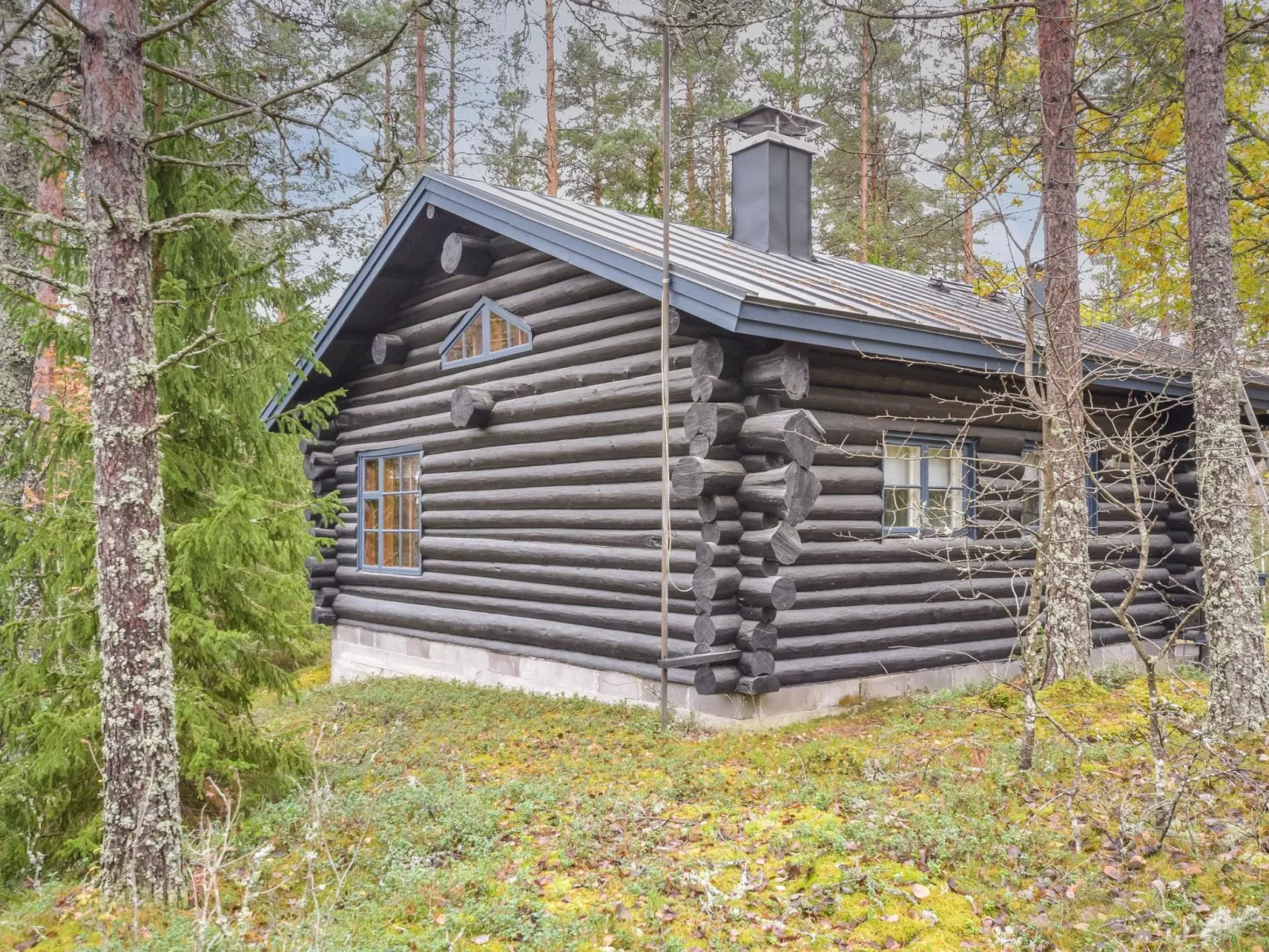 Metsätupa