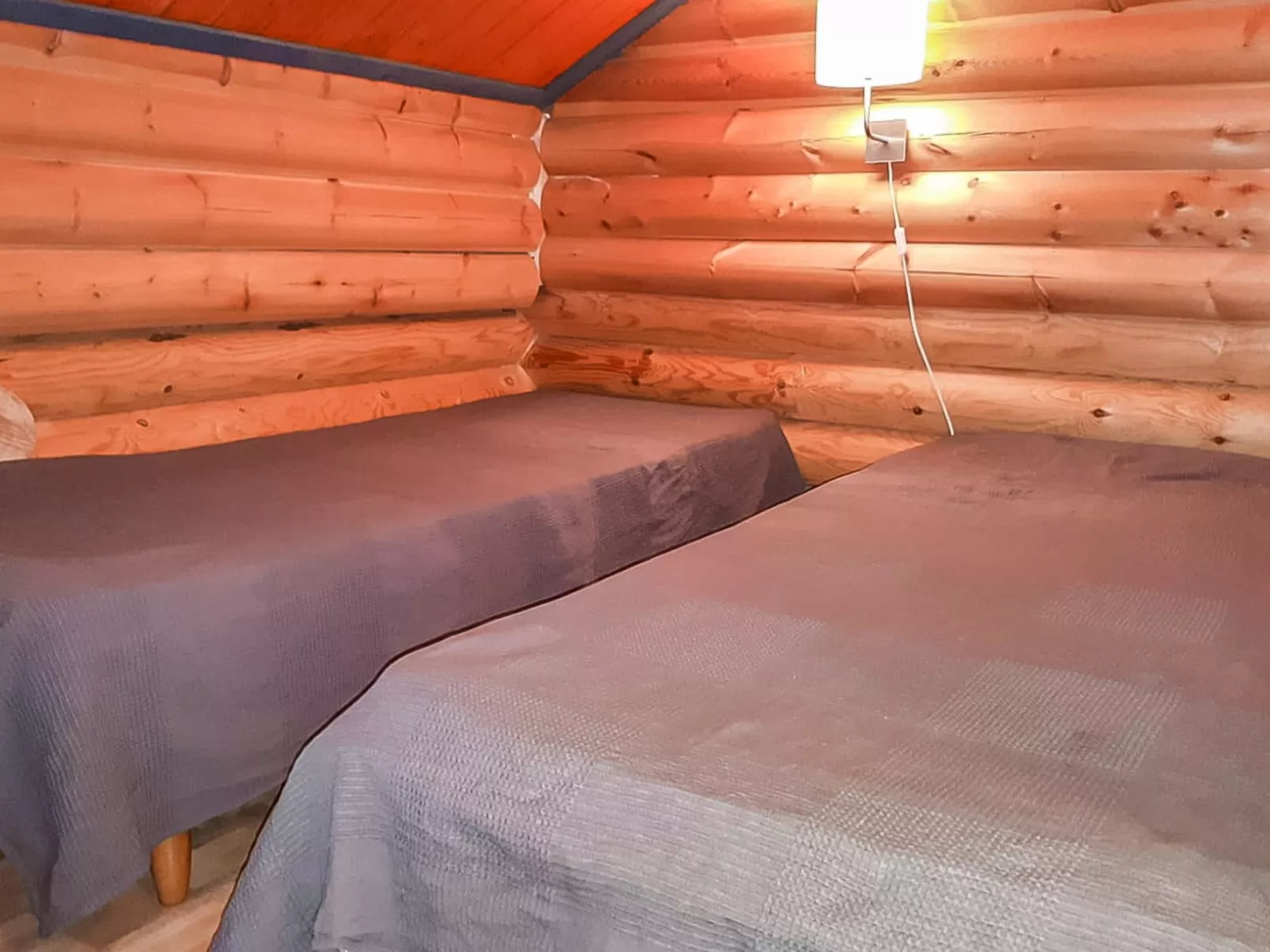 Levintähkä b-Inside