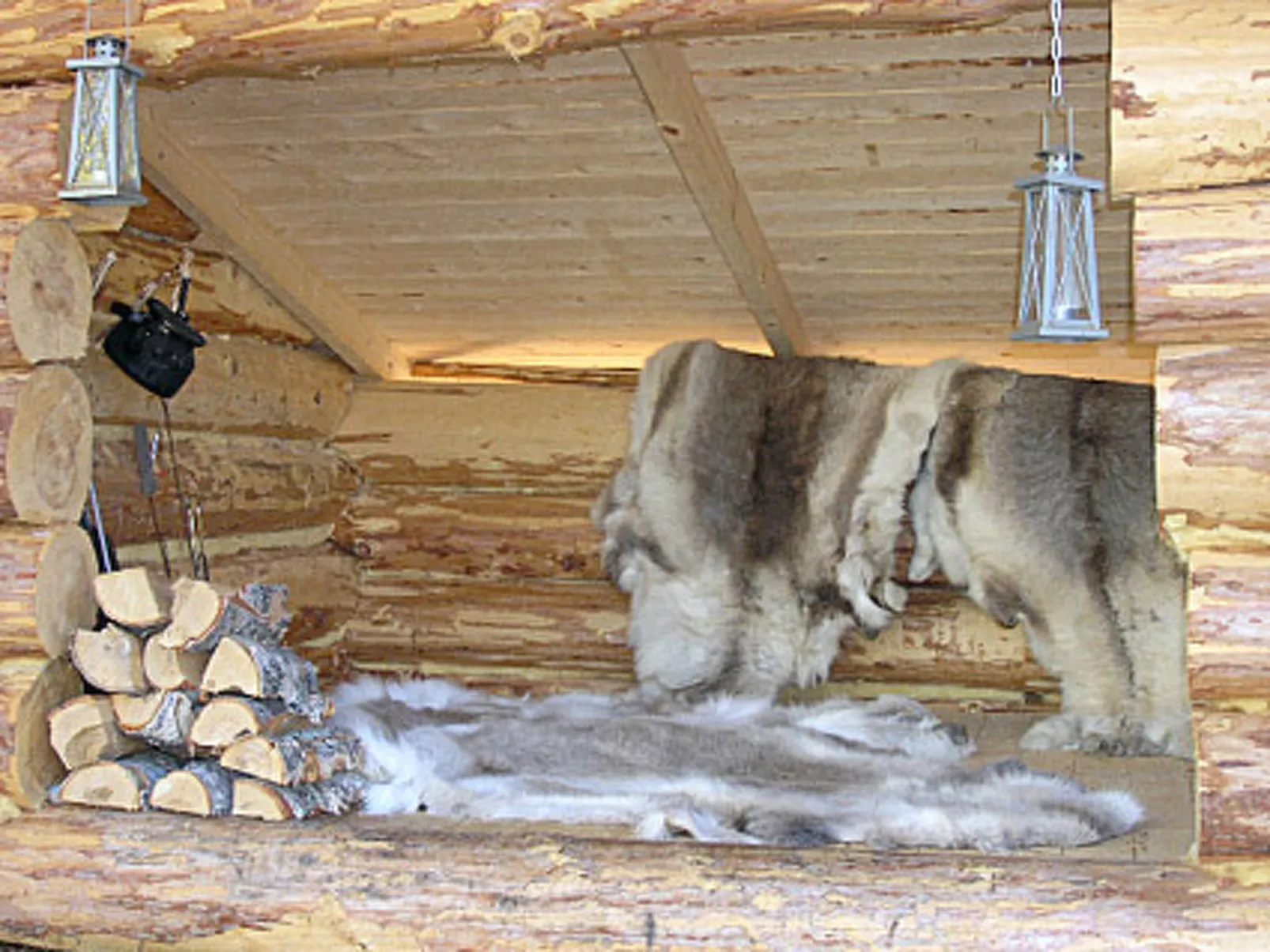 Koppelokangas-Inside